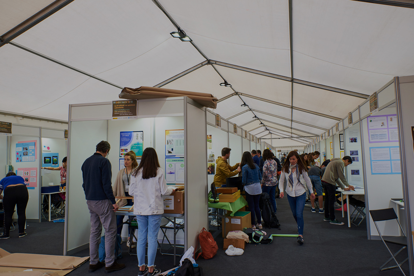 1 mes 1 profesión dixital