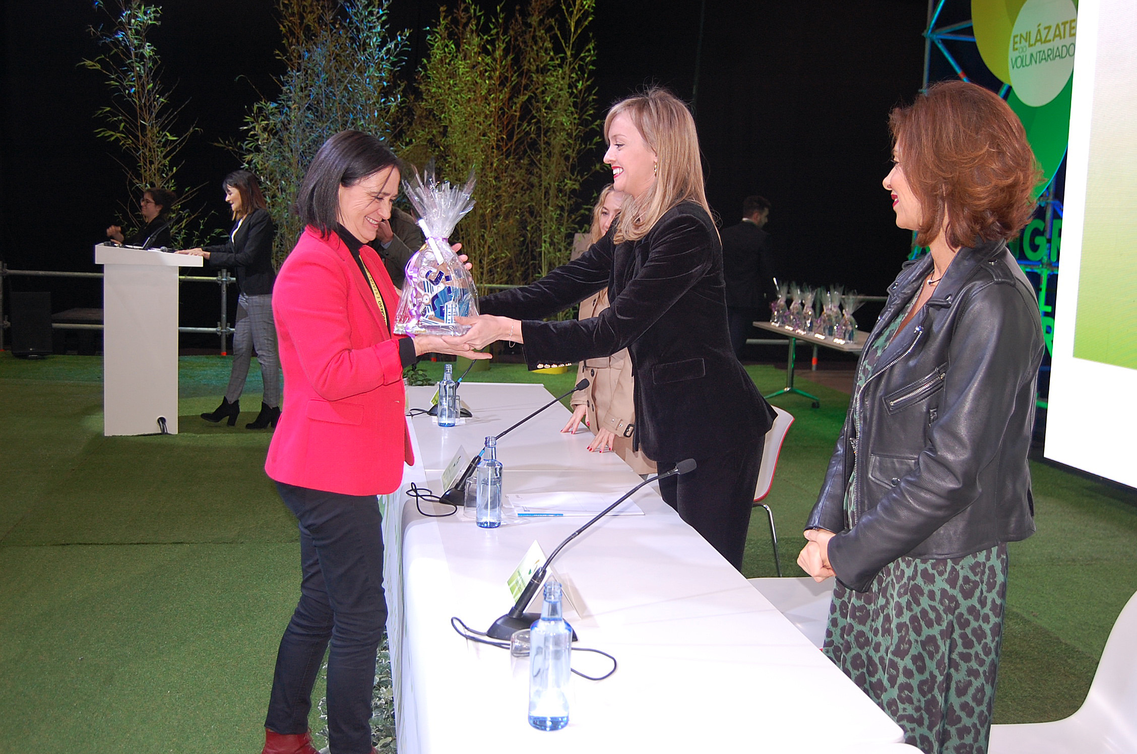 La conselleira en la clausura del XX Congreso Estatal del Voluntariado