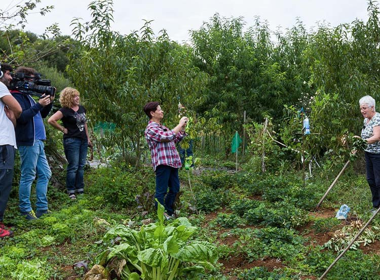 Imagen de la grabación