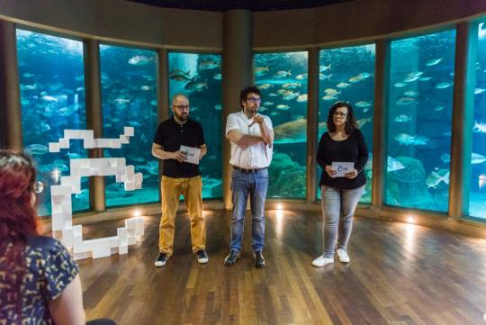 Presentación de Coruña Dixital.