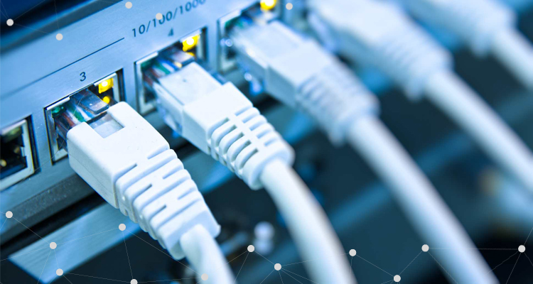 Cables RJ45 enchufados nun switch.