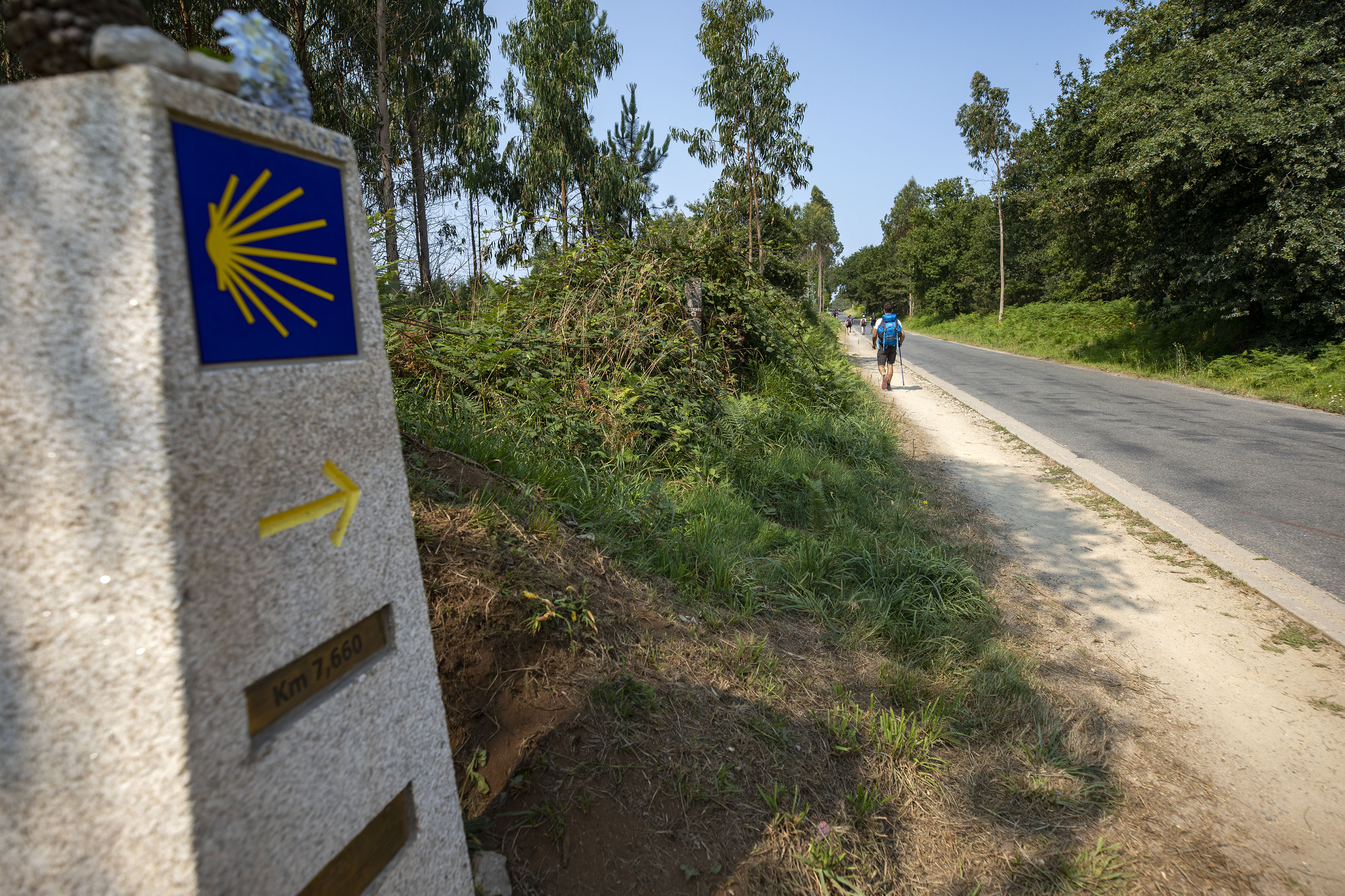 Peregrinos nun treito do Camiño de Santiago.