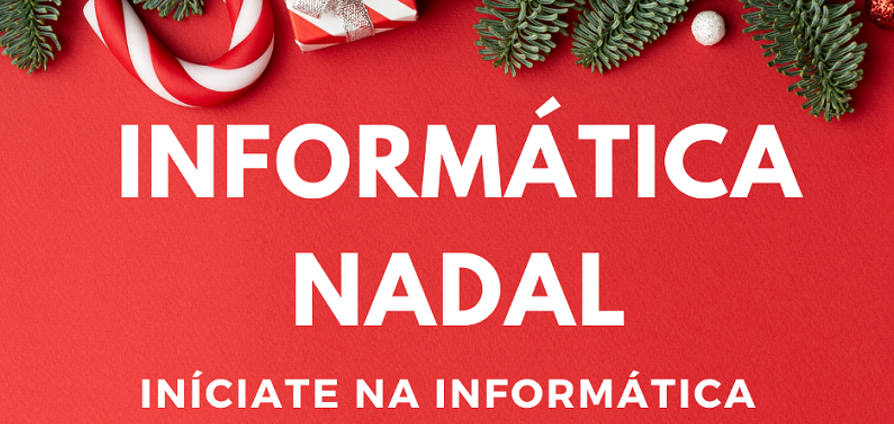 Cartel da iniciativa.