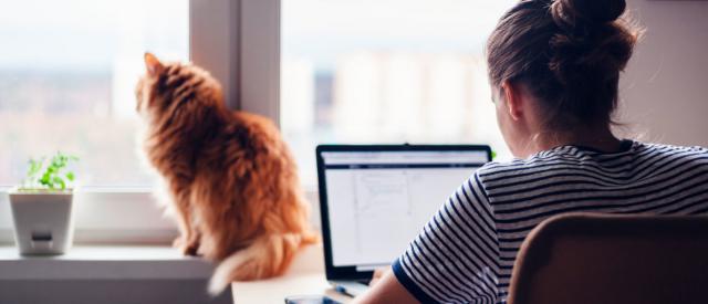 Mujer de espaldas trabajando en un portátil.