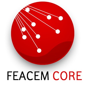 Logo Feacem Core.