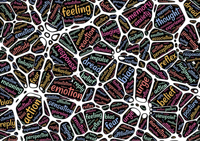 Social Challenges Innovation Platform.