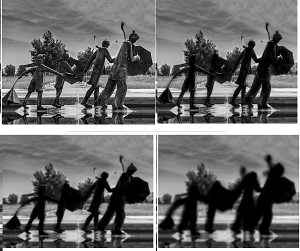 Fotografías de la exposición ‘Miradas Cercanas’.