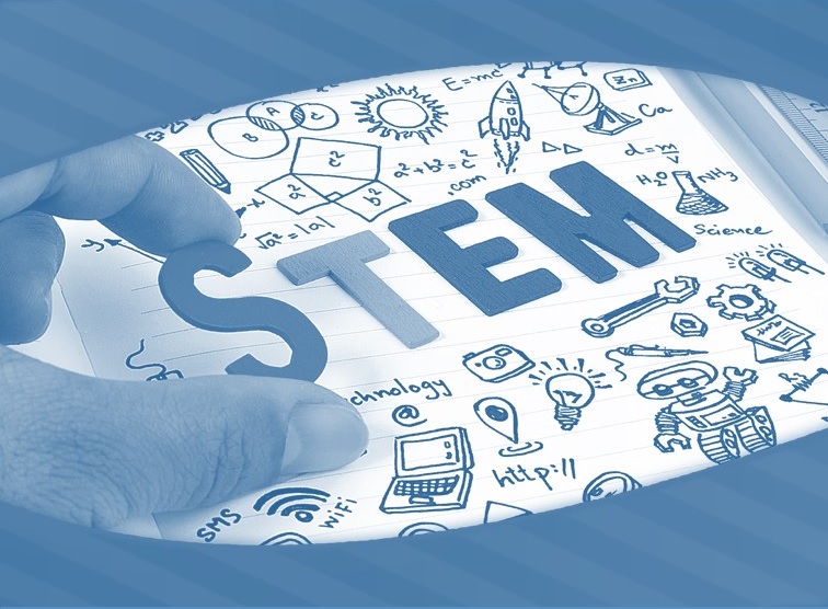 STEM.