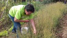 Fotograma de "Tengo una huerta en San Sadurniño".