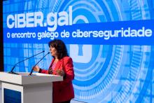 Mar Pereira na clausura da xornada.