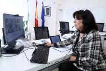 Mar Pereira nunha sesión recente de comunicación telemática.