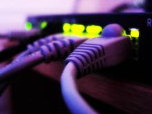 Cables RJ45 enchufados en un switch.