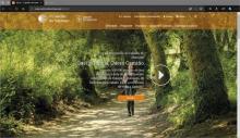 Pantallazo de la web del Camino de Santiago.