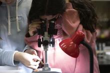 Dous mozos usando un microscopio.